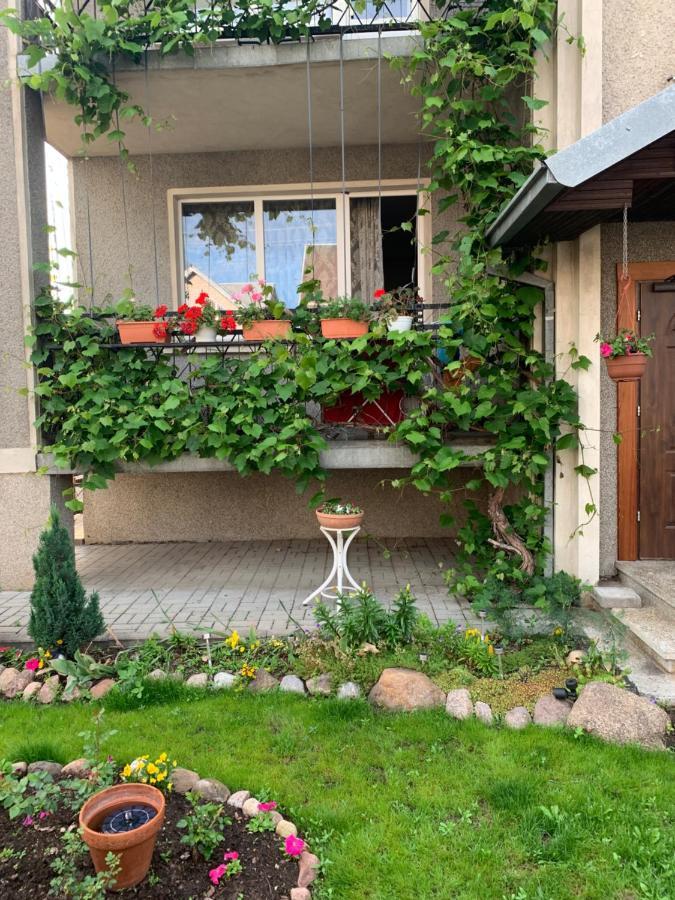 فندق Regina House كاوناس المظهر الخارجي الصورة